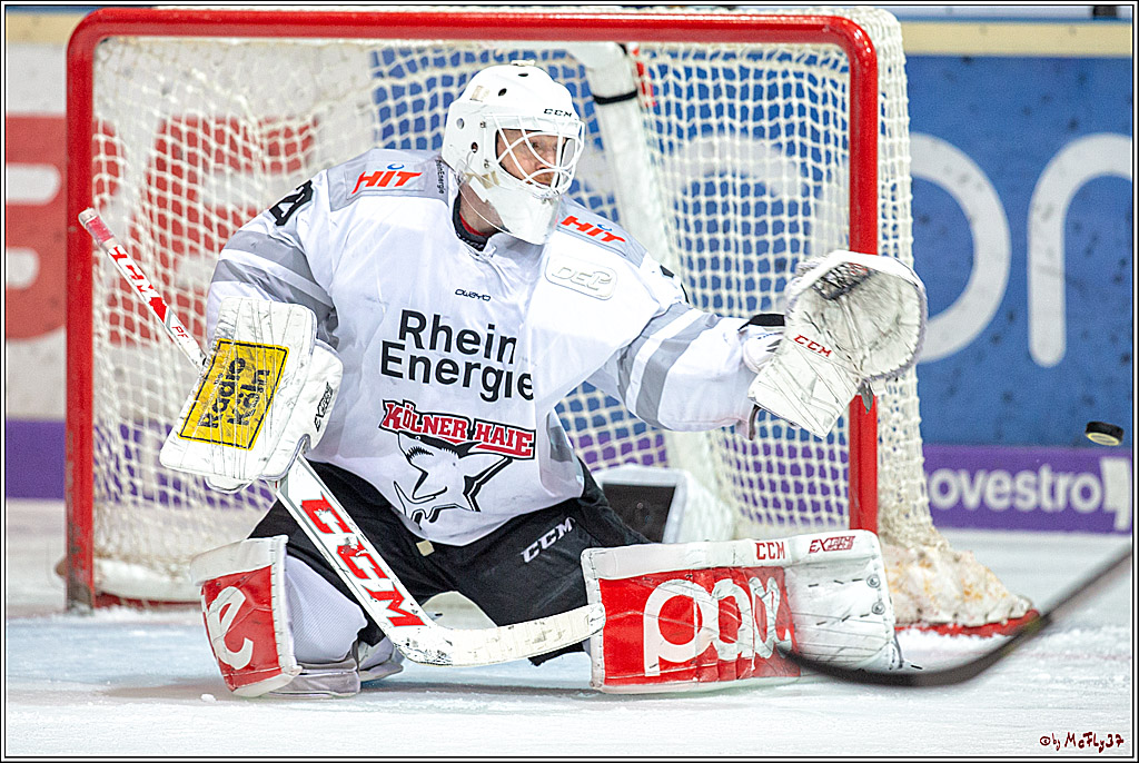 DEL; Iserlohn Roosters - Koelner Haie, 27.01.2019